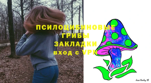 синтетический гашиш Няндома
