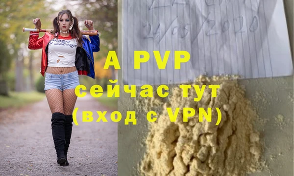 стаф Бикин