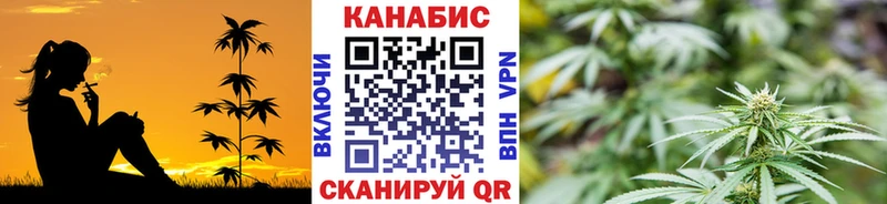 Шишки марихуана OG Kush  магазин продажи   Пионерский 